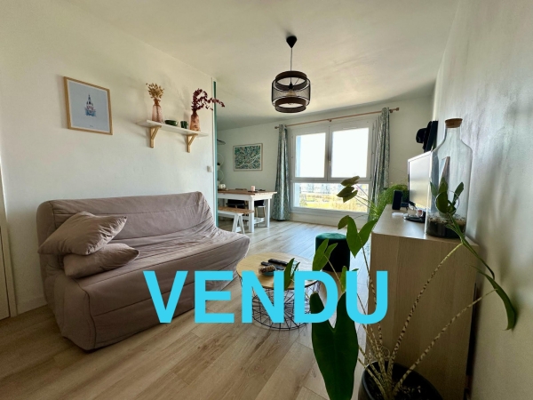 Ile de Nantes - Appartement 2 pièces 50 m²