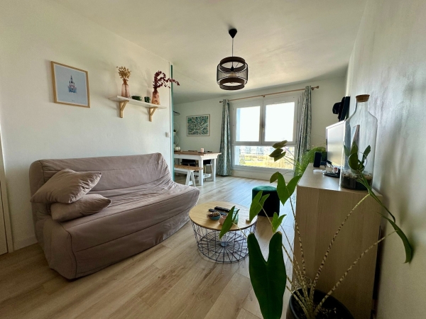 Ile de Nantes - Appartement 2 pièces 50 m²